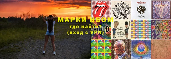 прущие грибы Покачи