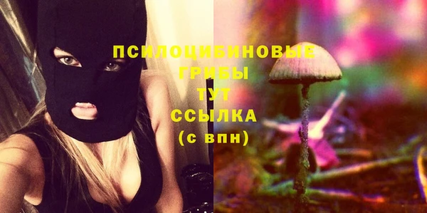 трава Алексин