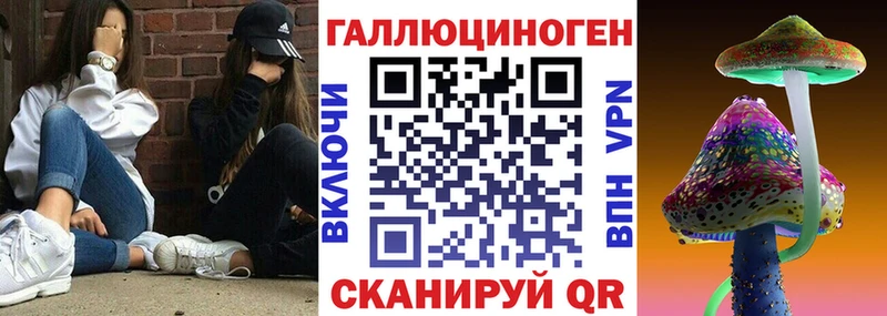 Галлюциногенные грибы Psilocybe  закладки  Куса 